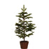 Abeto Spruce artificial de 92 cm, color verde