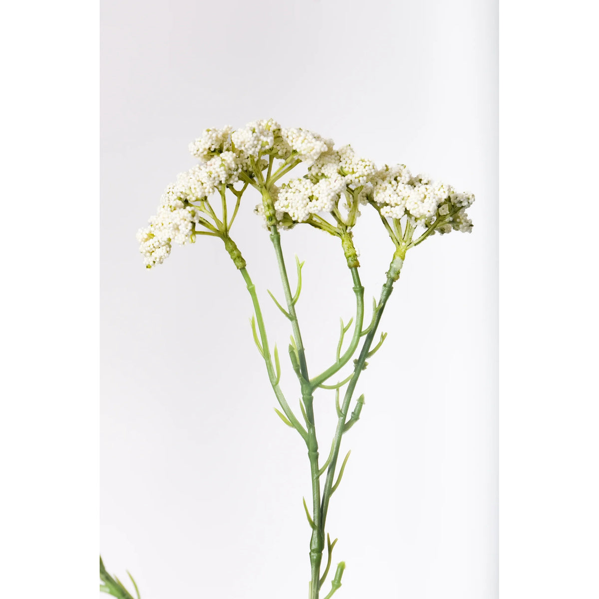 Achillea artificial de 53 cm, color blanco