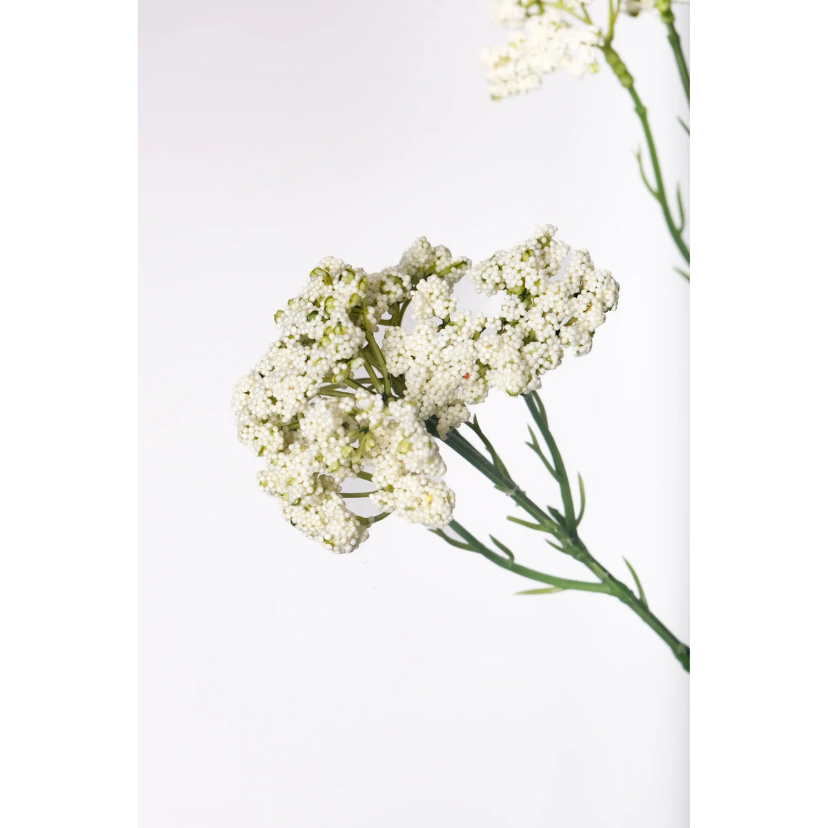 Achillea artificial de 53 cm, color blanco