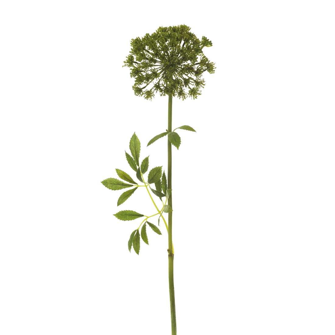 Achillea artificial de 61 cm, color verde