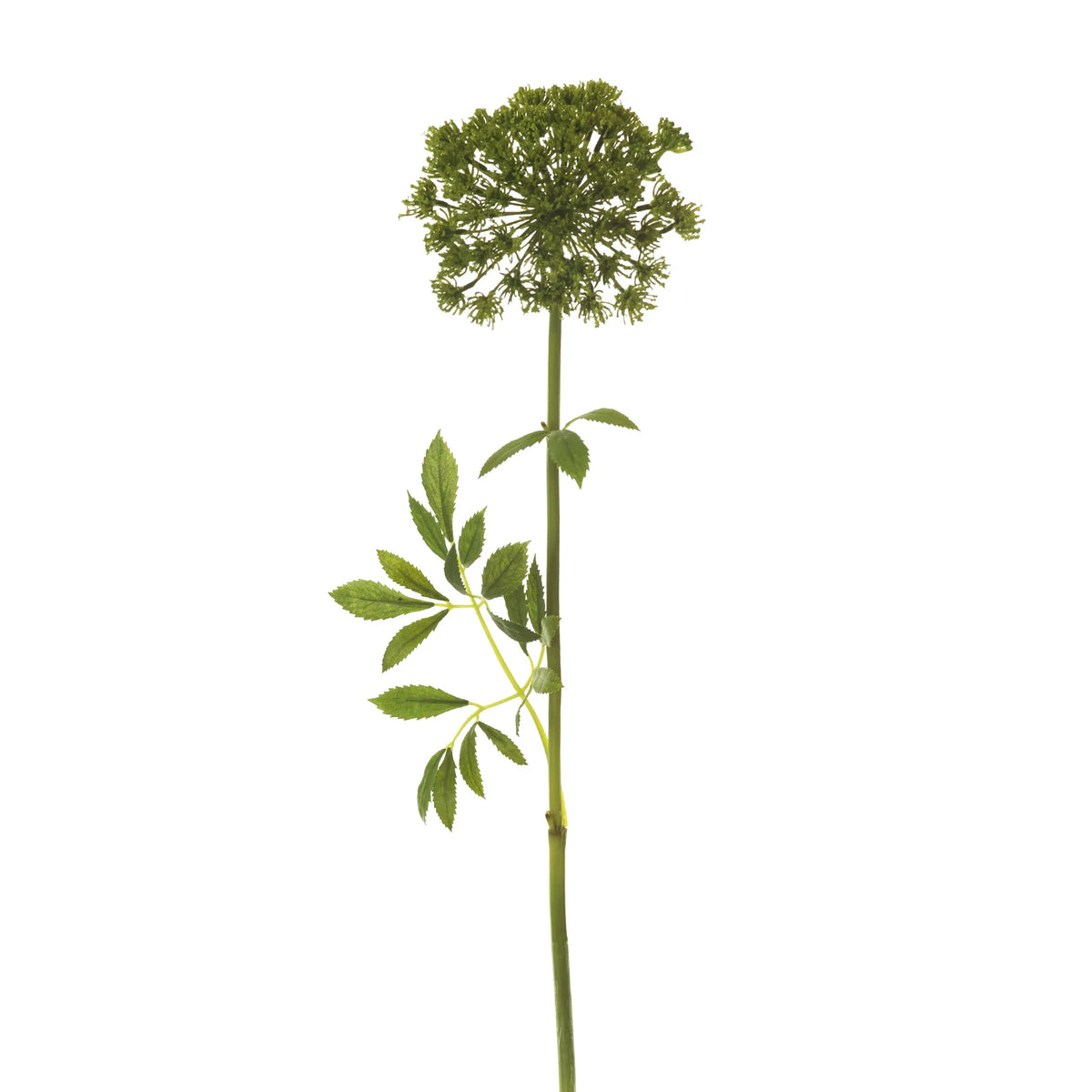 Achillea artificial de 61 cm, color verde