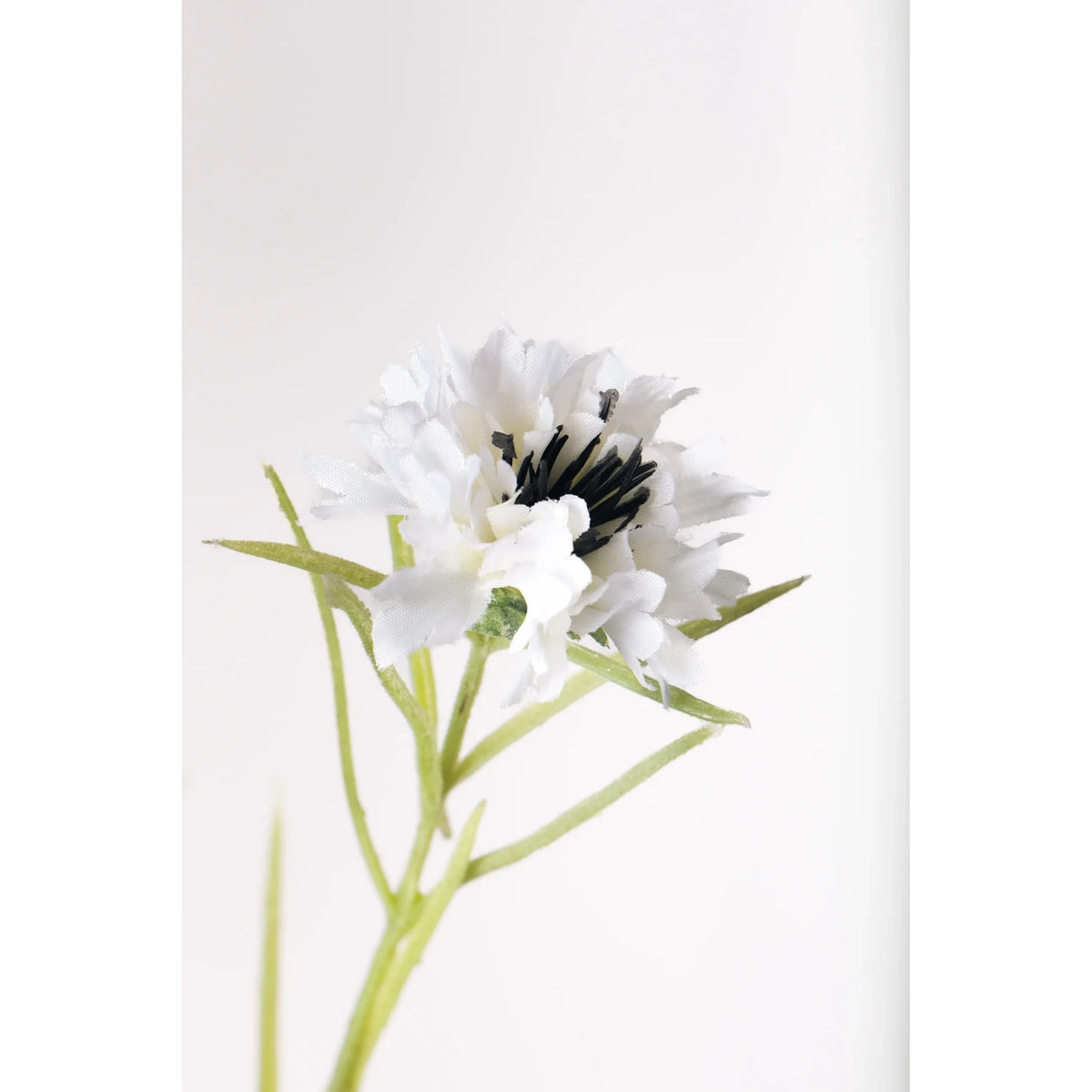 Aciano artificial de 65 cm, color blanco