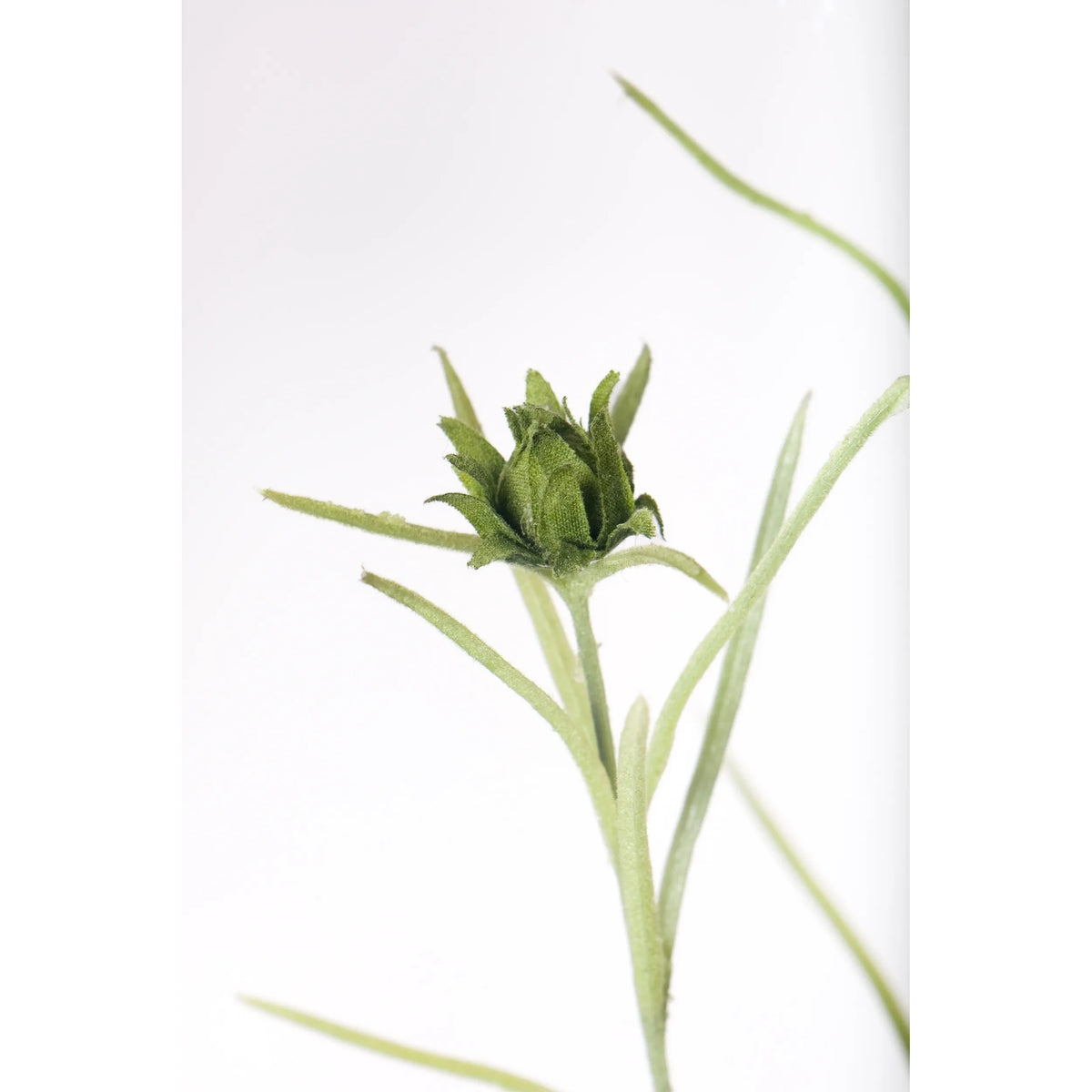 Aciano artificial de 65 cm, color blanco