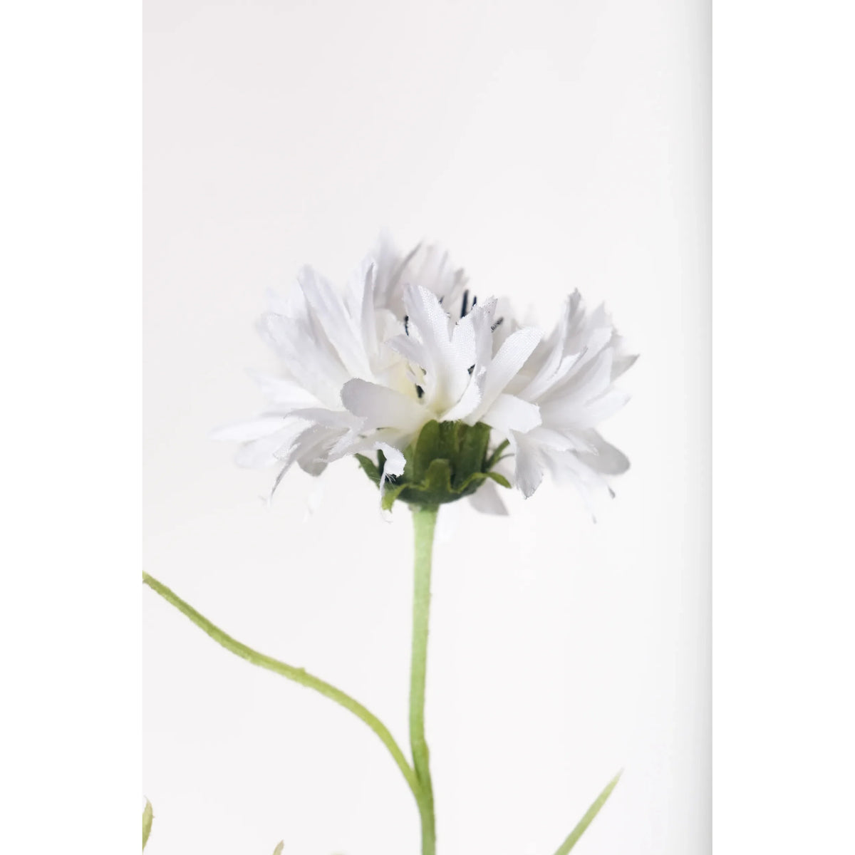Aciano artificial de 65 cm, color blanco