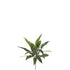 Aglaonema artificial de 71 cm, color verde