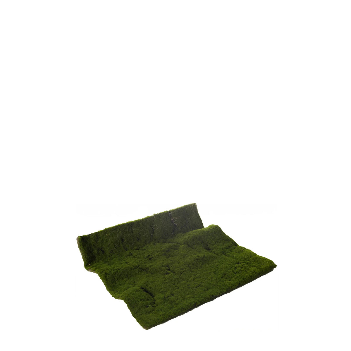 Alfombra de Musgo artificial de 50 × 50 cm, color verde