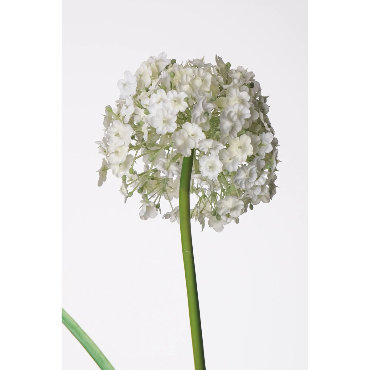 Allium artificial de 80 cm, color blanco