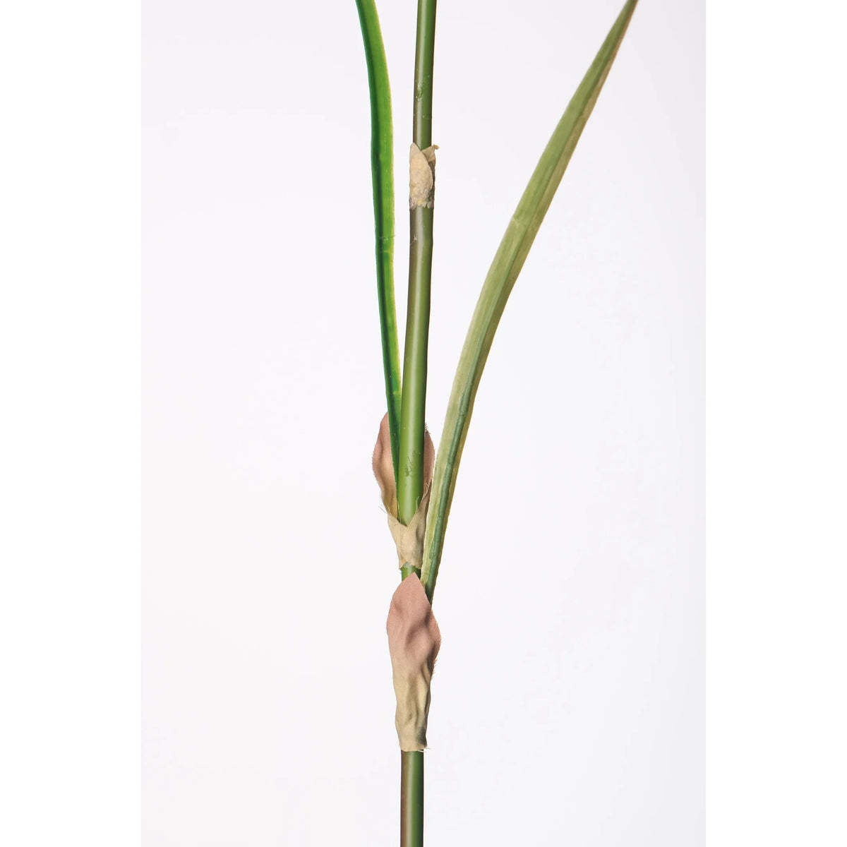 Allium artificial de 80 cm, color blanco