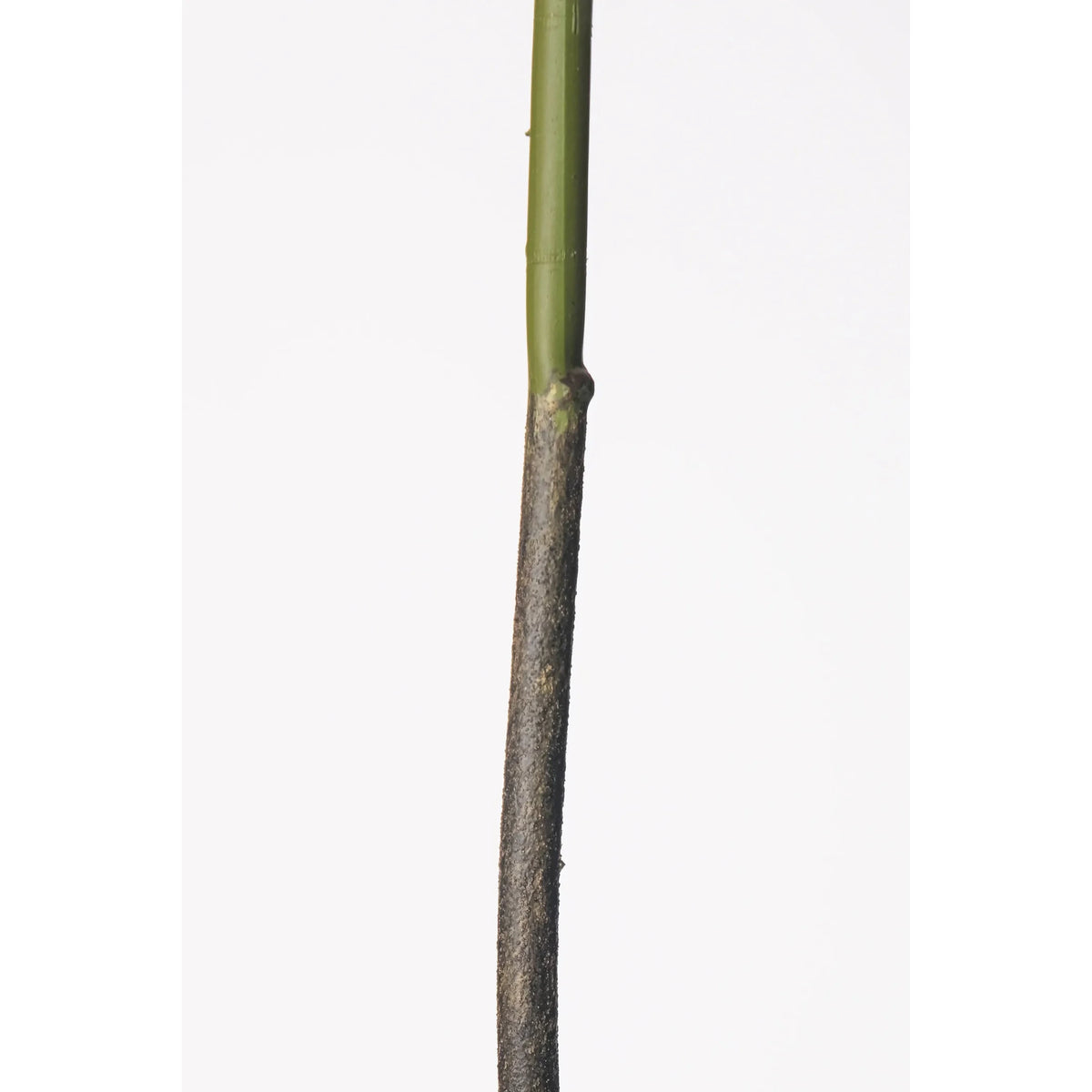 Allium Silvestre artificial de 60 cm, color azul