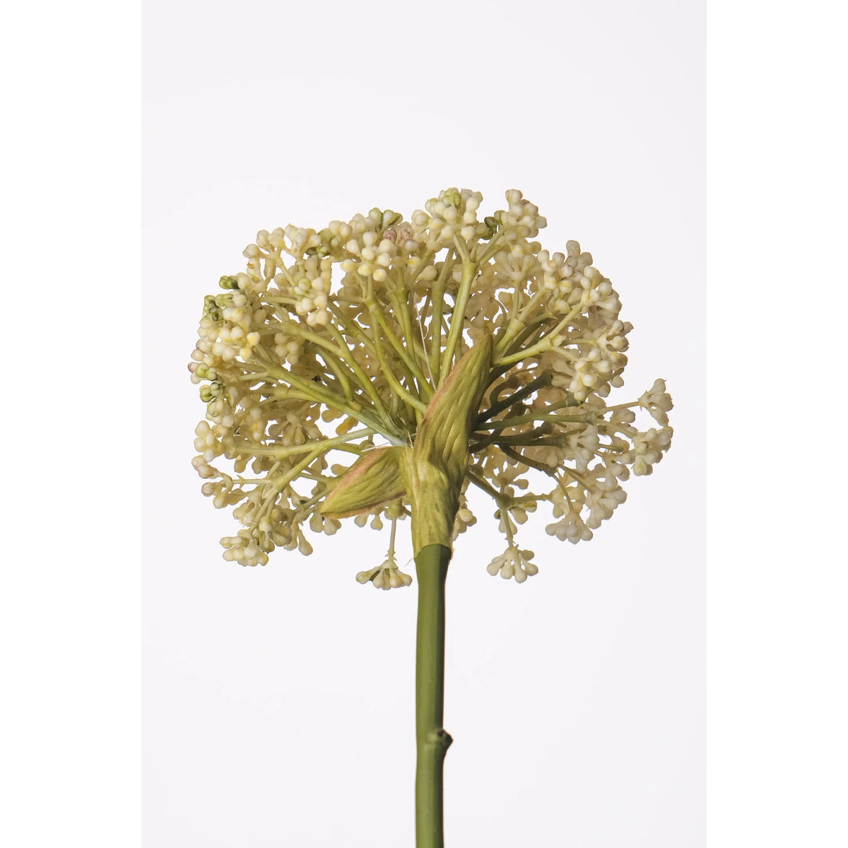 Allium Silvestre artificial de 60 cm, color crema