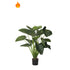 Alocasia artificial Ignífuga de 108 cm, color verde