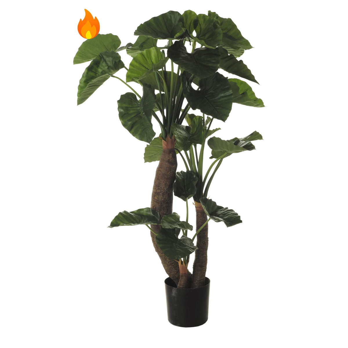 Alocasia artificial Ignífuga de 170 cm, color verde