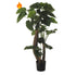 Alocasia artificial Ignífuga de 170 cm, color verde