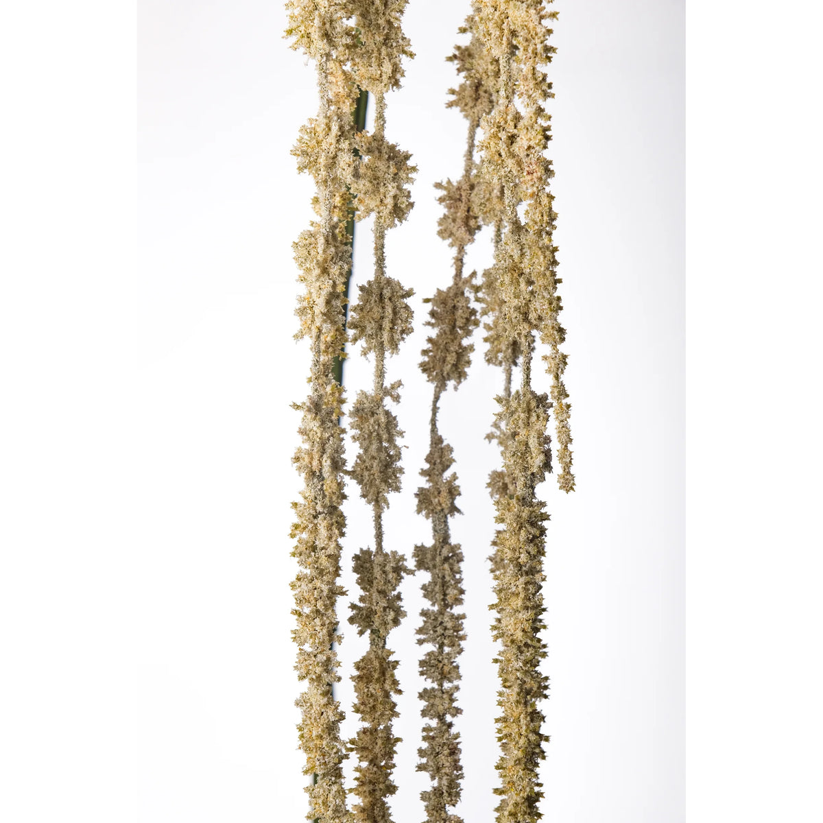 Amaranthus artificial Otoñal de 66 cm, color crema