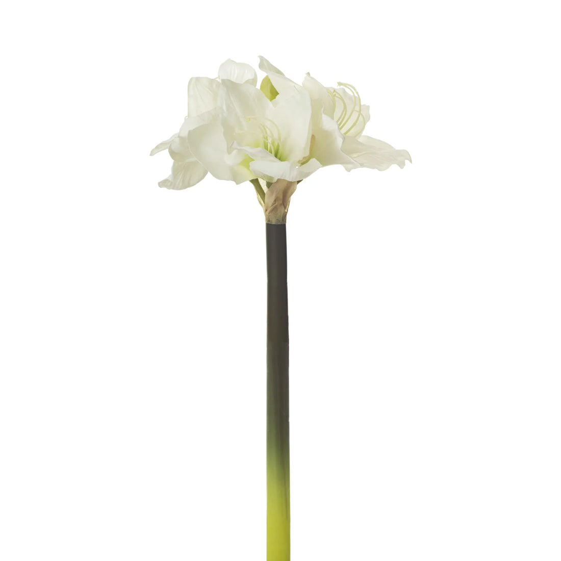 Amarilis artificial de 49 cm, color blanco
