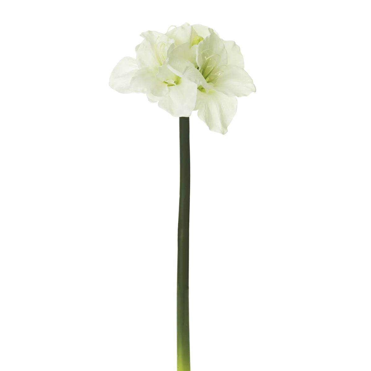 Amarilis artificial de 69 cm, color blanco