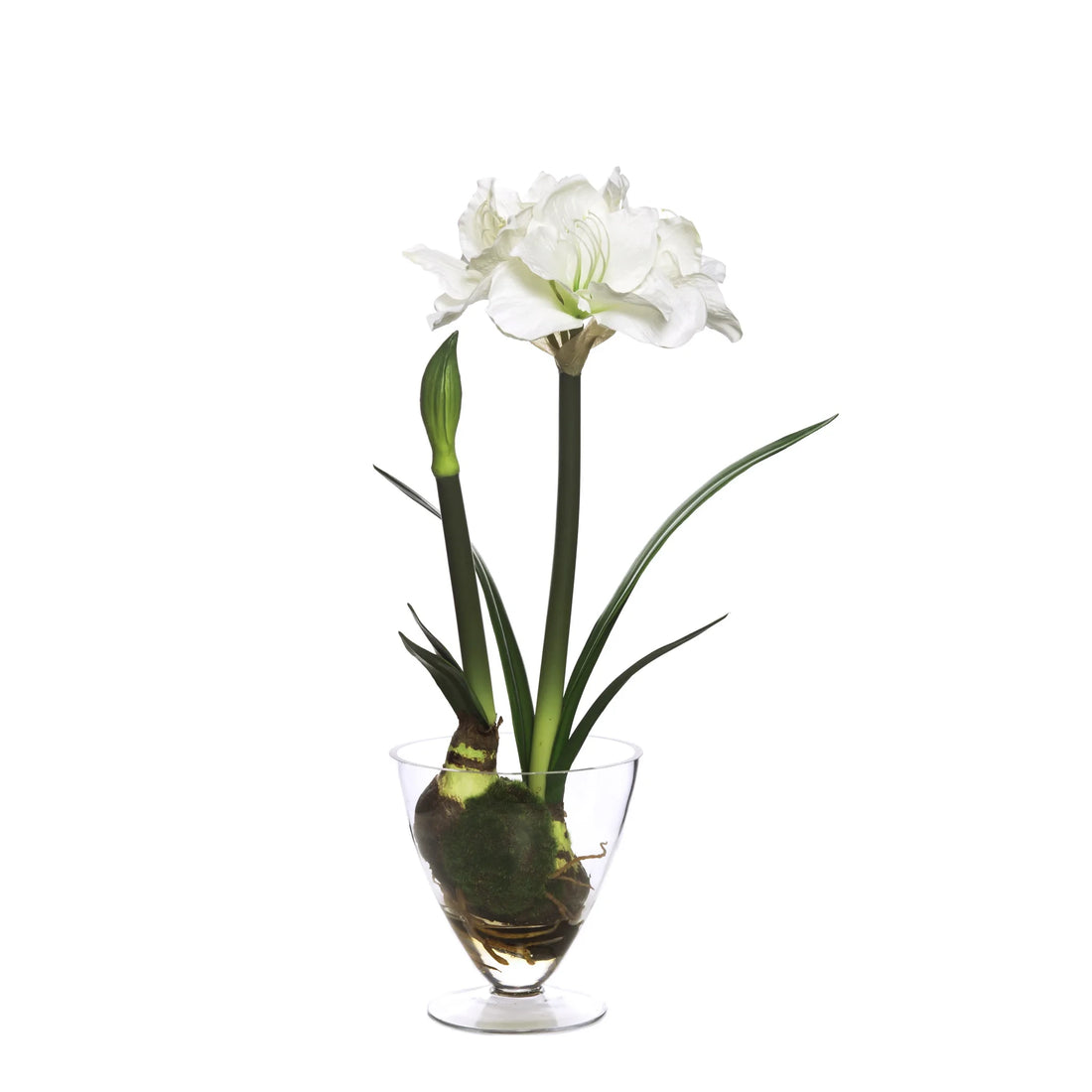 Amarilis artificial con Bulbo en Cristal con Agua Sólida de 69 cm, color blanco