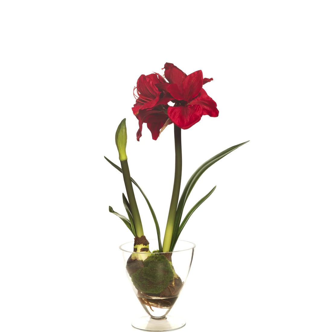Amarilis artificial con Bulbo en Cristal con Agua Sólida de 69 cm, color rojo
