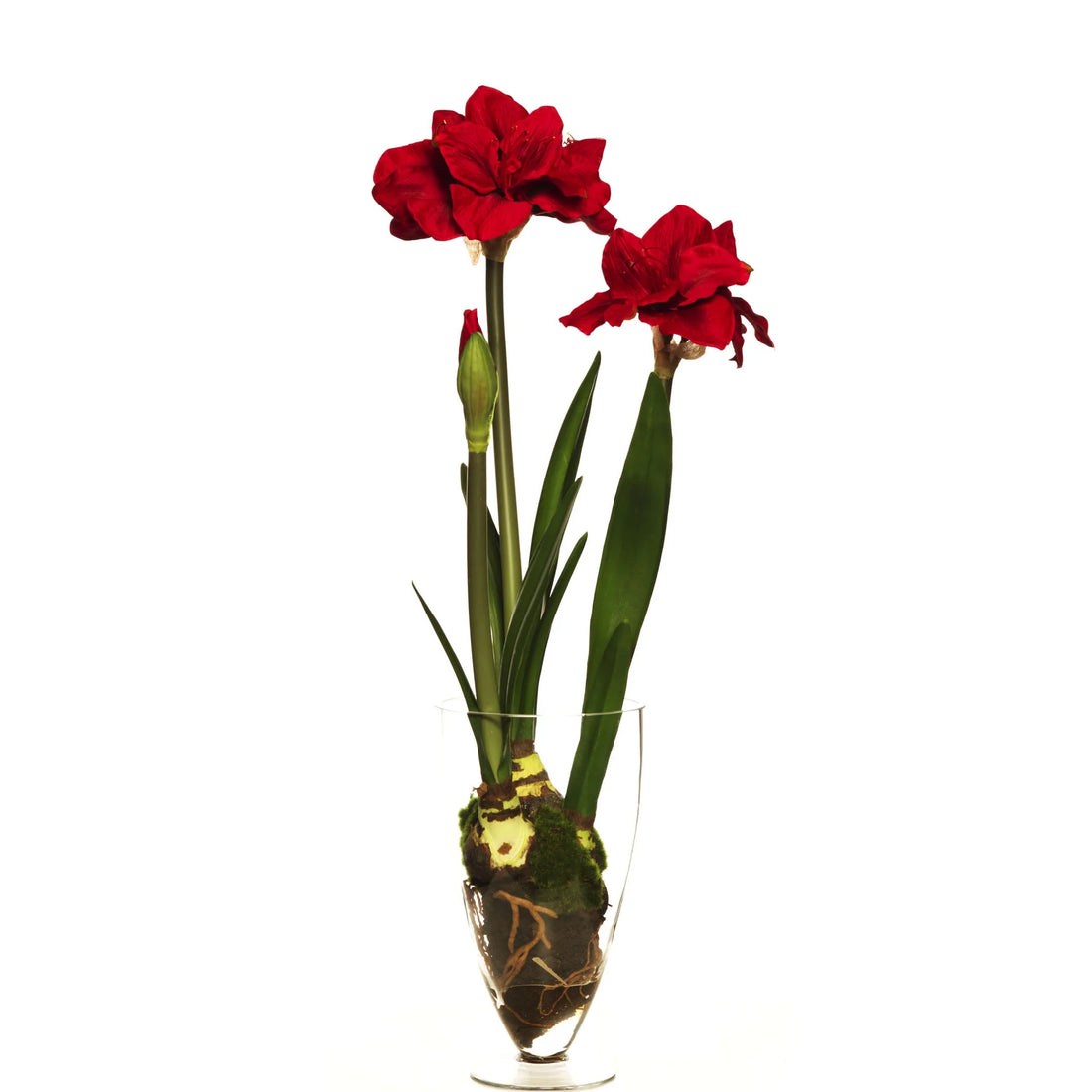 Amarilis artificial con Bulbo en Cristal con Agua Sólida de 90 cm, color rojo