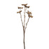 Anís artificial de 40 cm, color beige