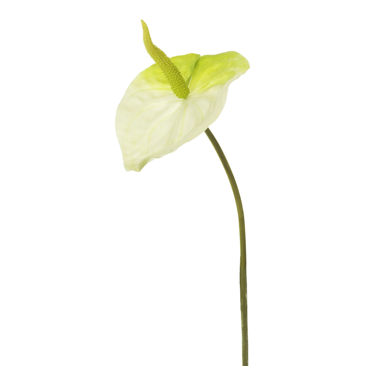 Anturio artificial de 51 cm, color blanco