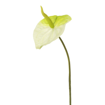 Anturio artificial de 51 cm, color blanco