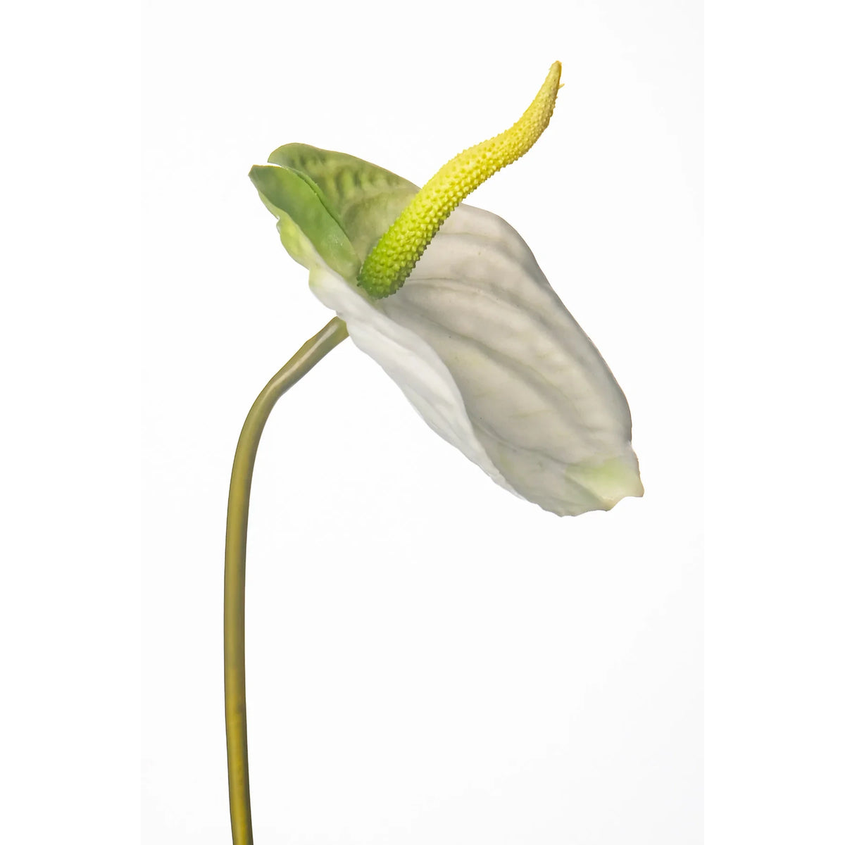 Anturio artificial de 51 cm, color blanco