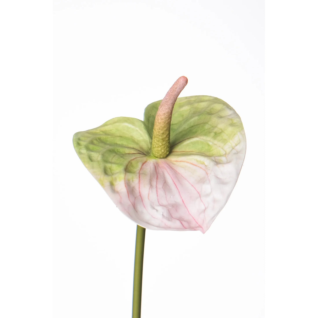 Anturio artificial de 52 cm, color rosa