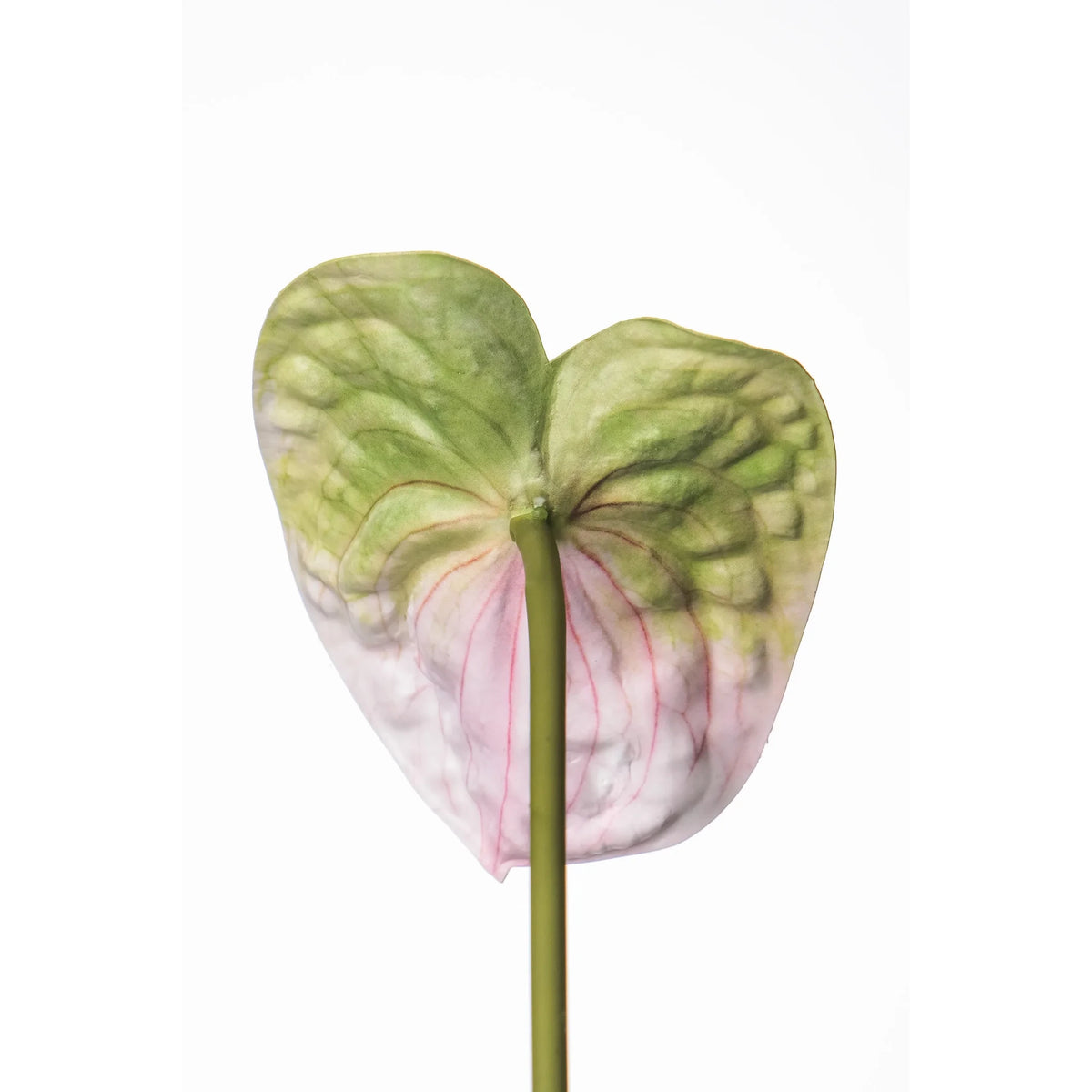 Anturio artificial de 52 cm, color rosa