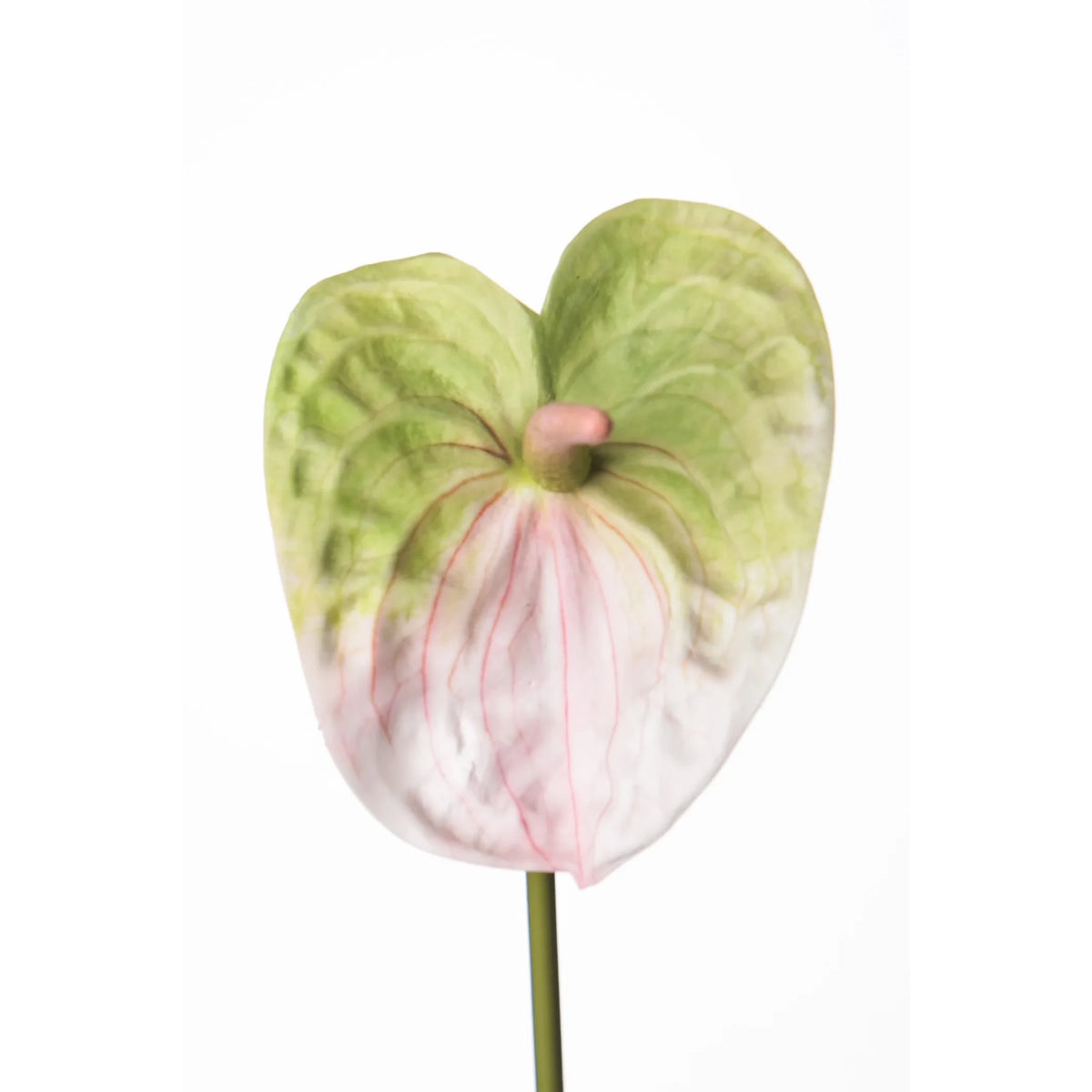 Anturio artificial de 52 cm, color rosa