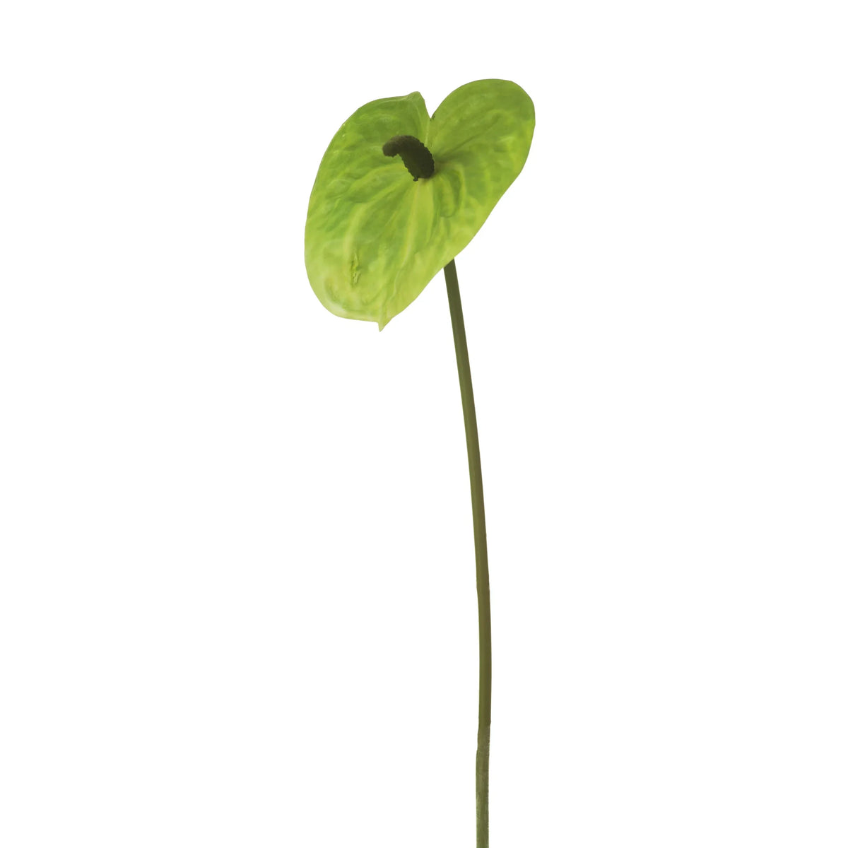 Anturio artificial de 52 cm, color verde
