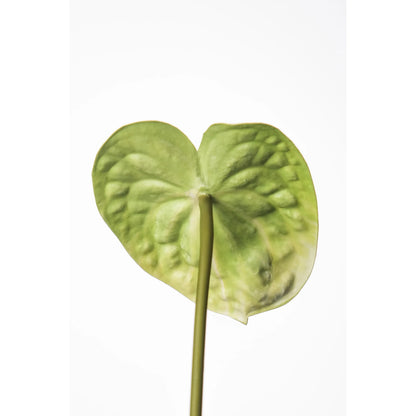 Anturio artificial de 52 cm, color verde