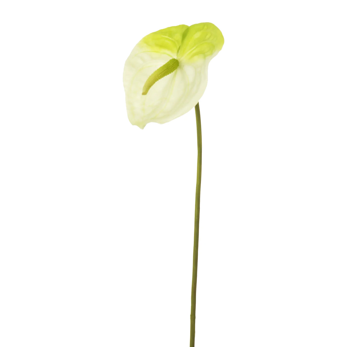 Anturio artificial de 79 cm, color blanco
