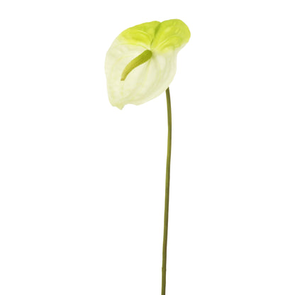 Anturio artificial de 79 cm, color blanco