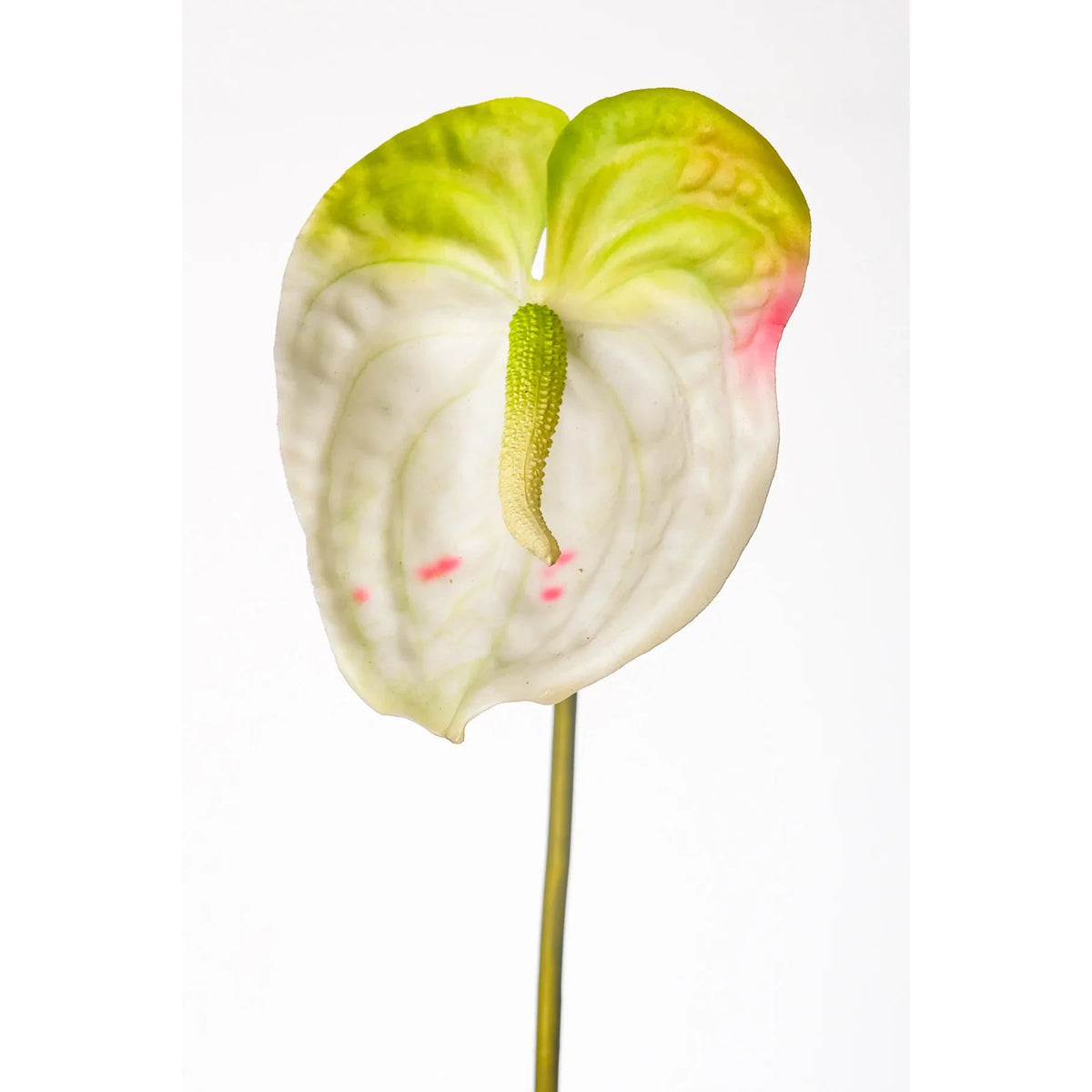 Anturio artificial de 79 cm, color blanco