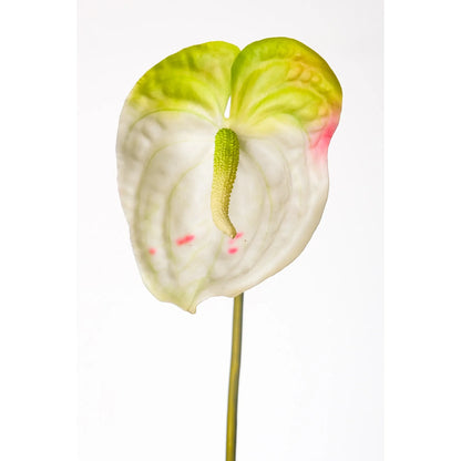 Anturio artificial de 79 cm, color blanco