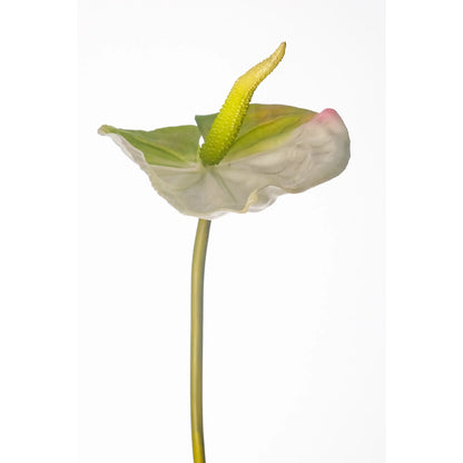 Anturio artificial de 79 cm, color blanco