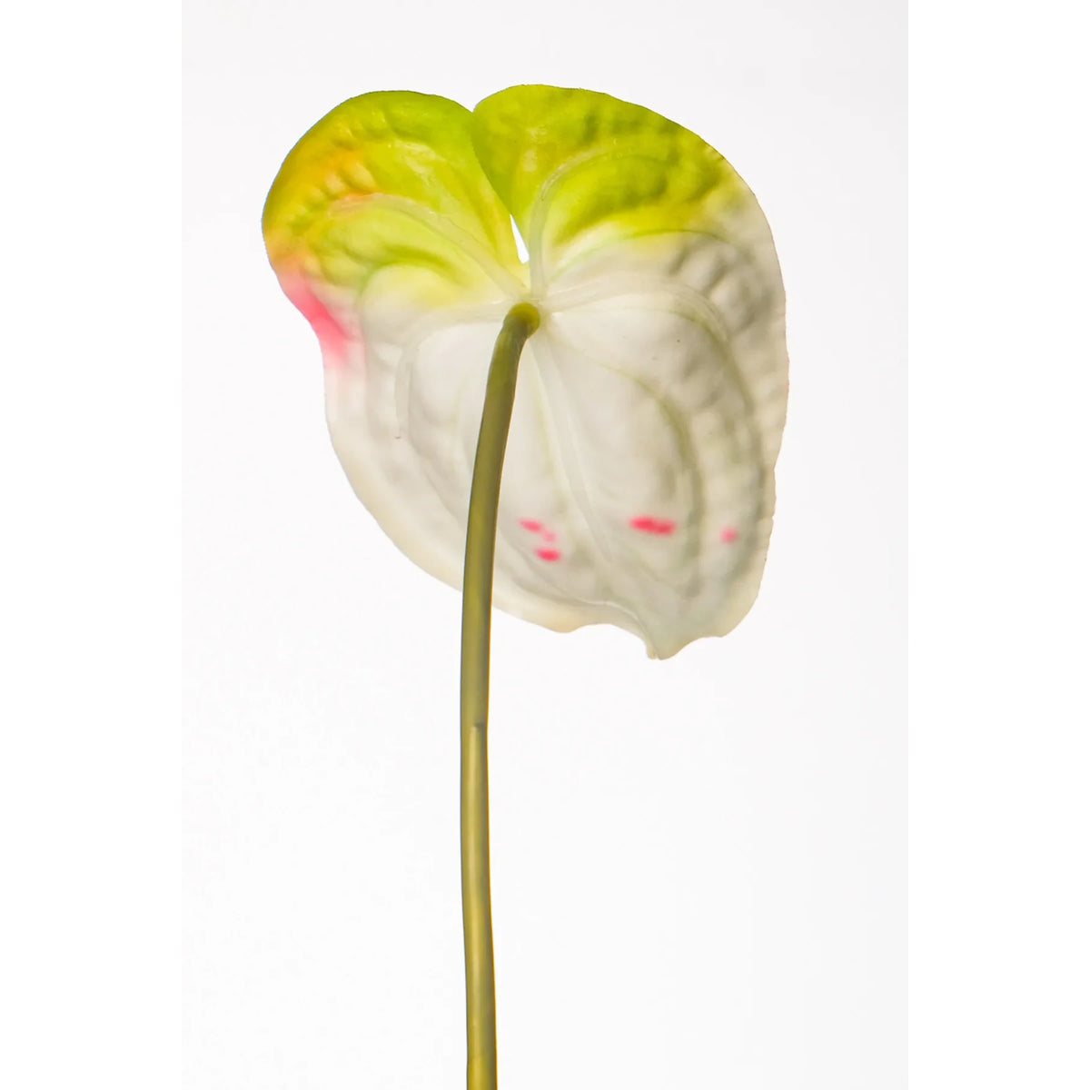 Anturio artificial de 79 cm, color blanco