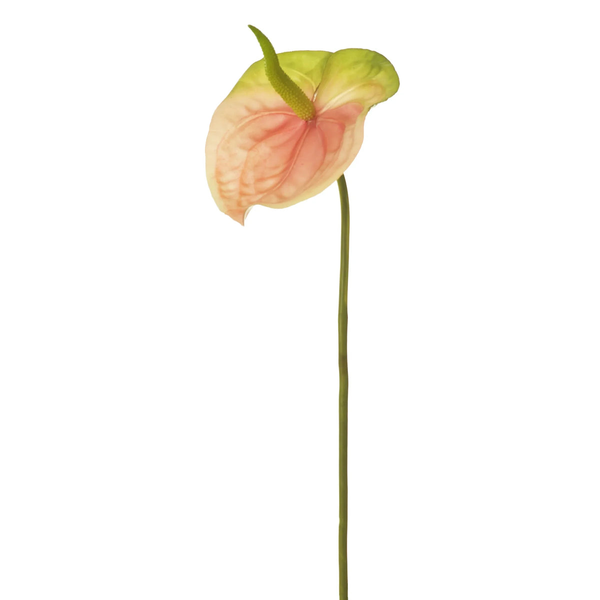 Anturio artificial de 79 cm, color rosa
