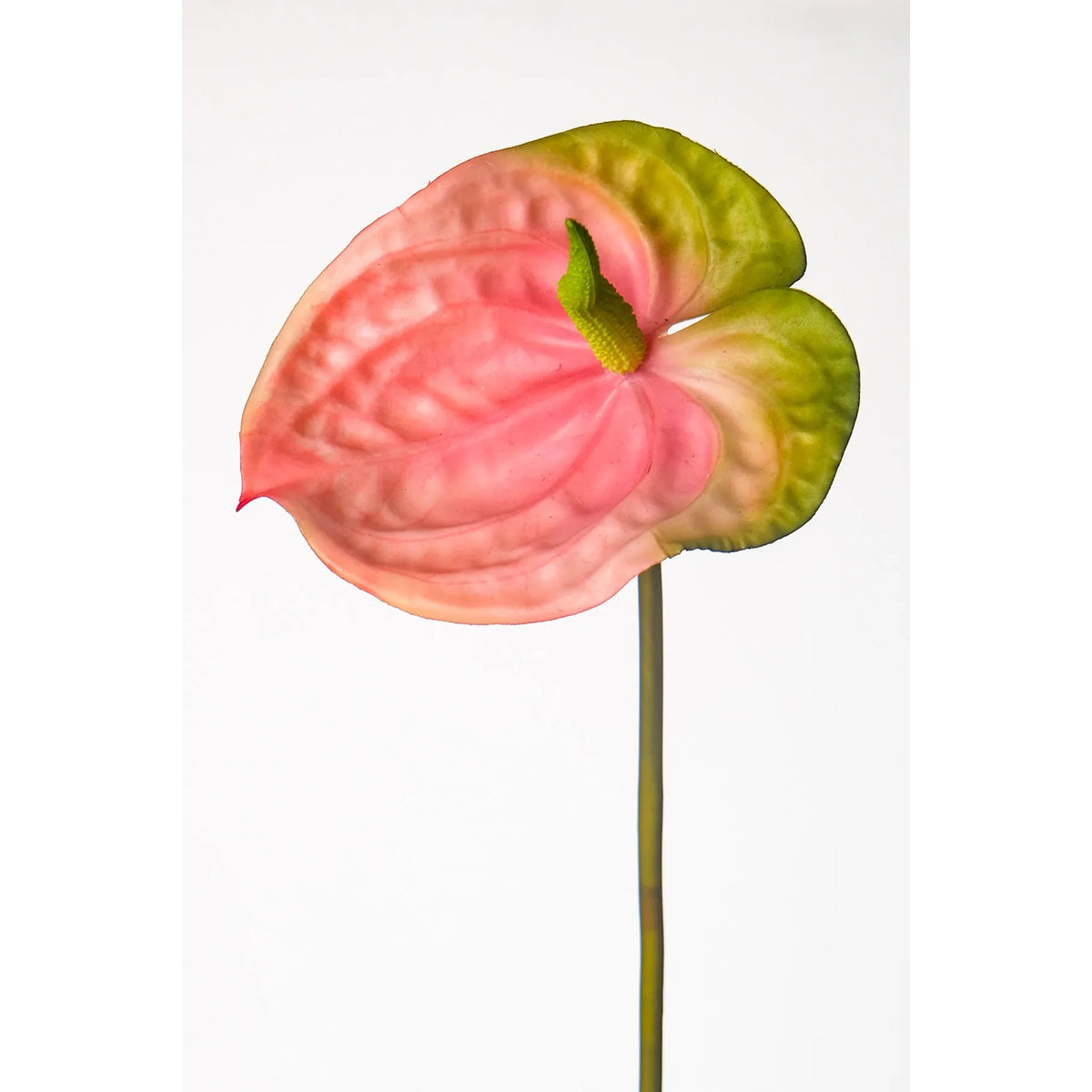 Anturio artificial de 79 cm, color rosa