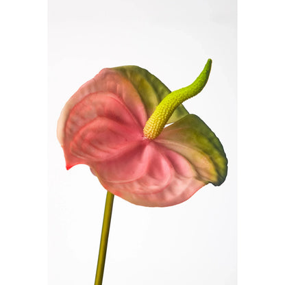 Anturio artificial de 79 cm, color rosa