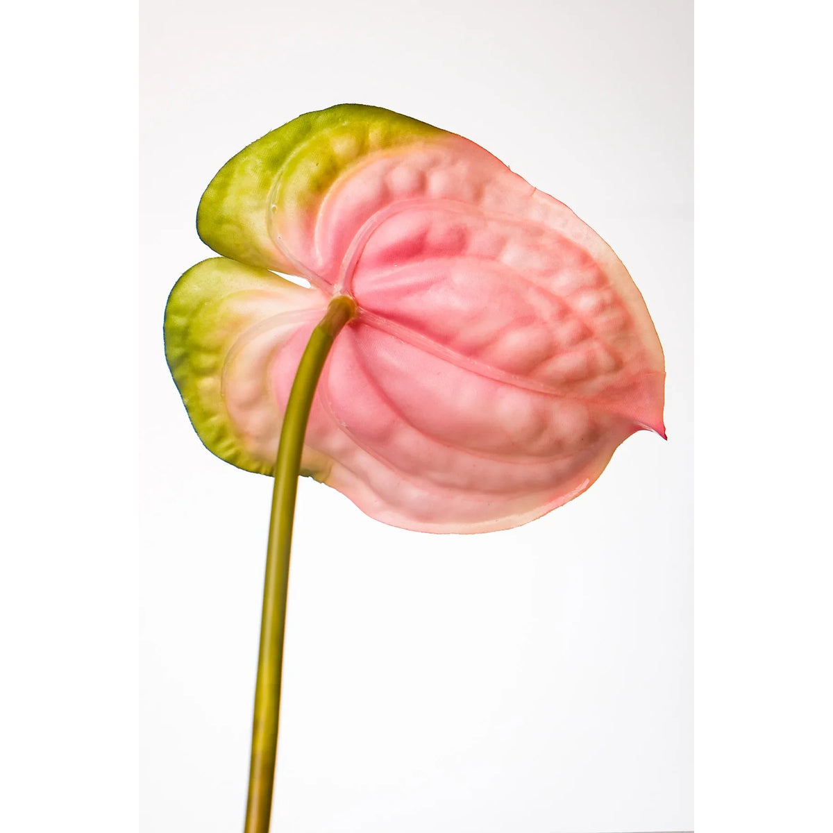 Anturio artificial de 79 cm, color rosa