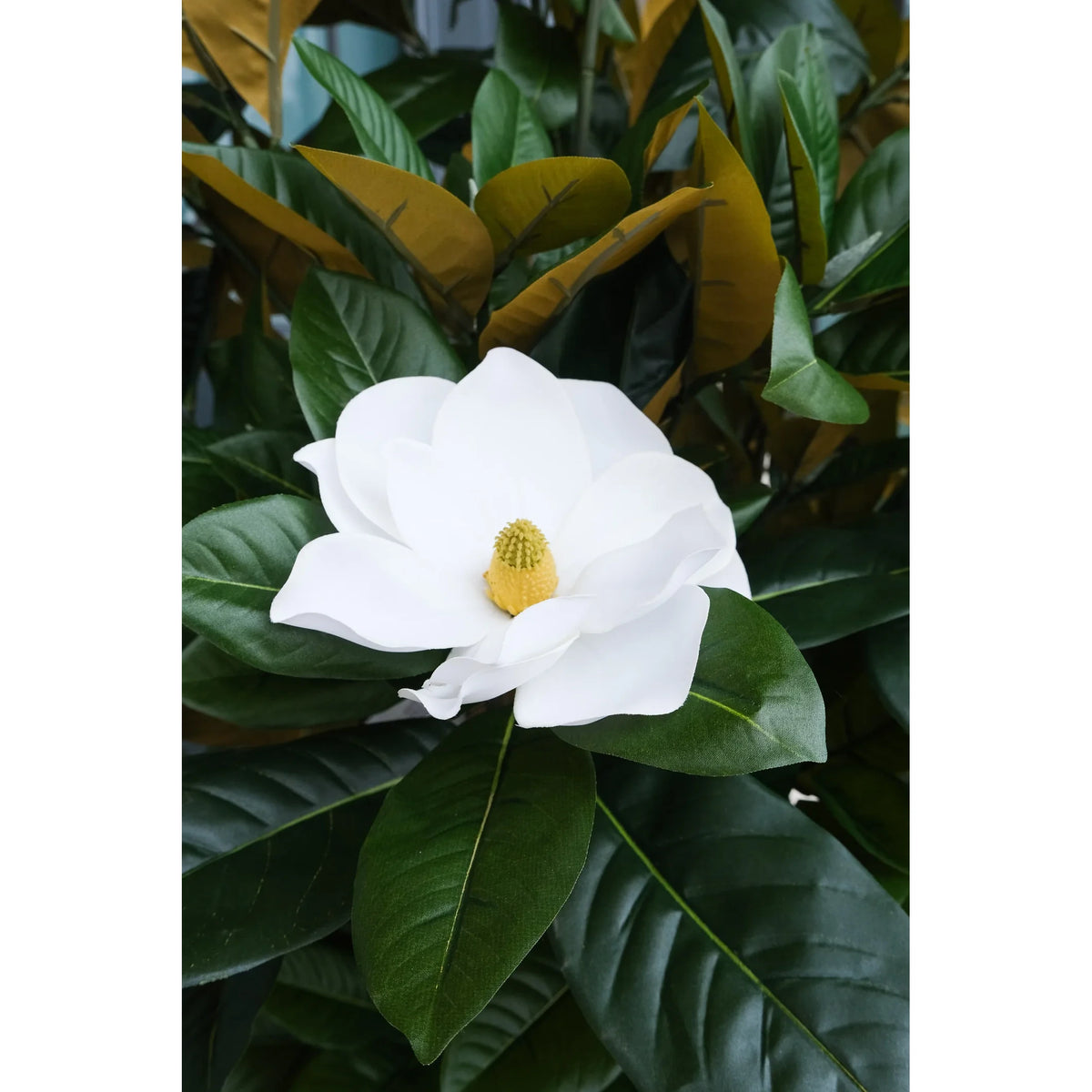 Árbol de Magnolia artificial de 180 cm, color crema
