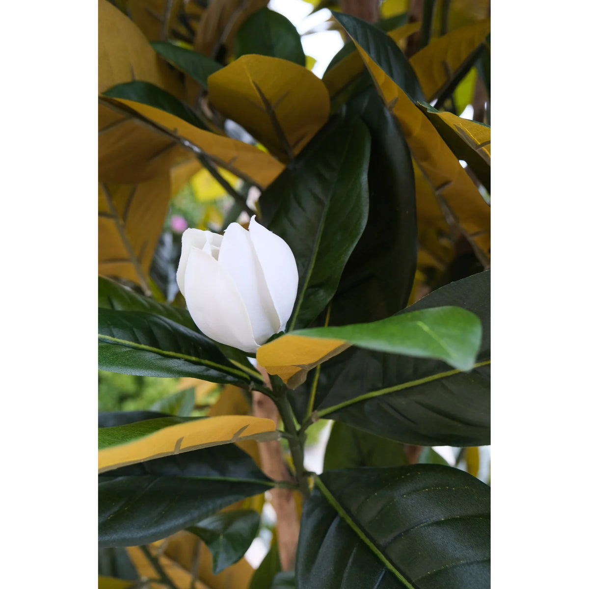 Árbol de Magnolia artificial de 210 cm, color crema