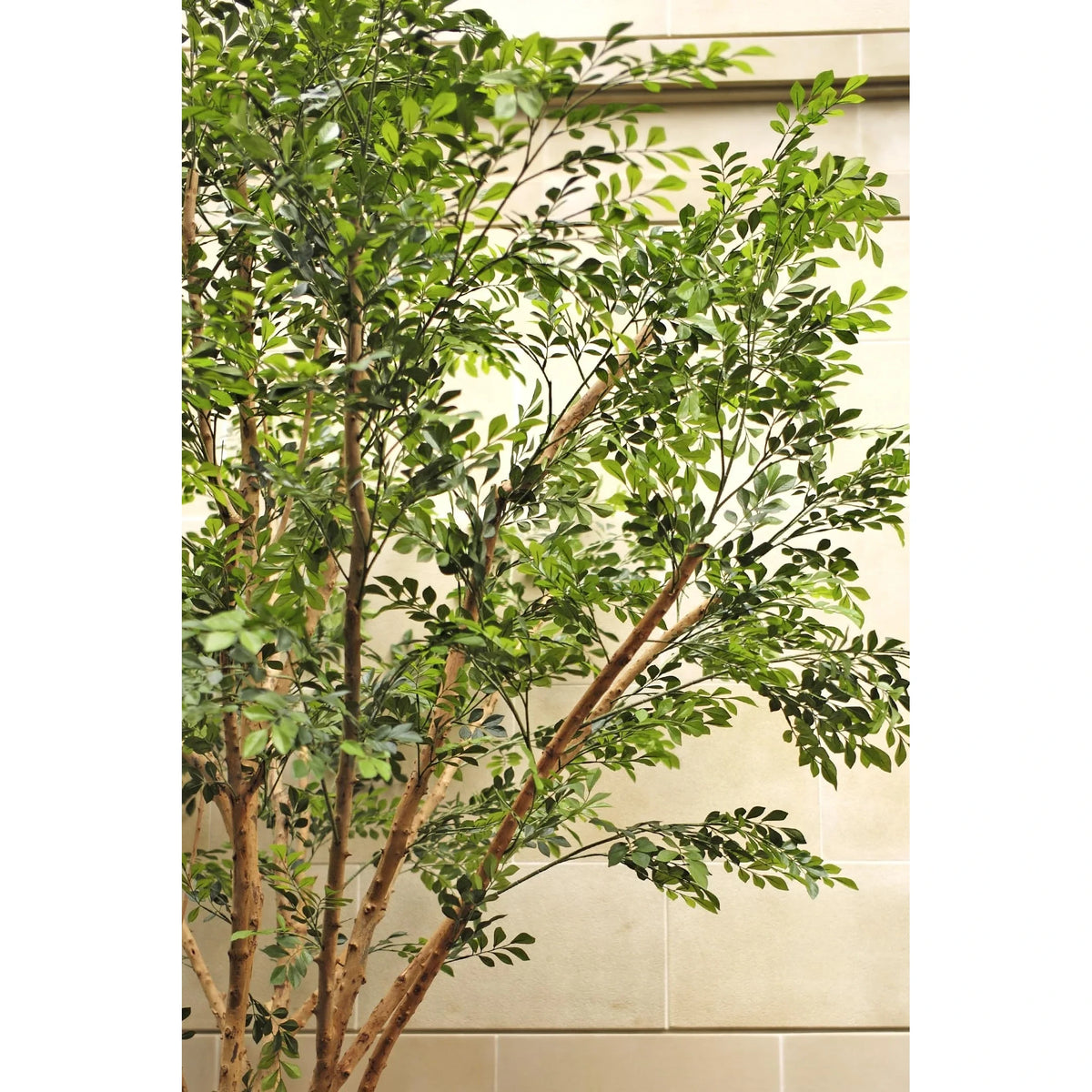 Árbol de Murraya artificial Gigante de 380 cm, color verde