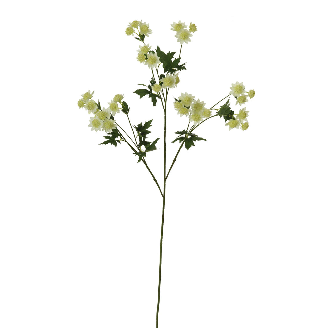 Astrantia artificial de 117 cm, color crema