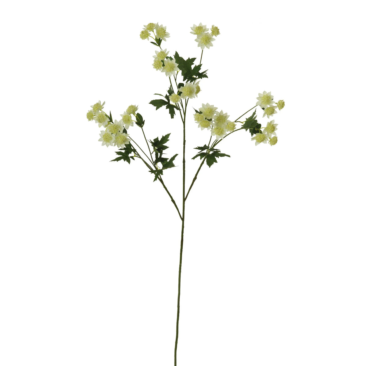 Astrantia artificial de 117 cm, color crema