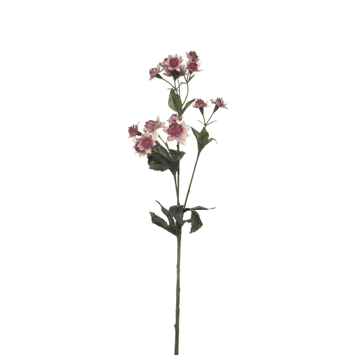 Astrantia artificial de 50 cm, color malva
