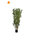 Bambú Oriental artificial Ignífugo de 150 cm, color verde