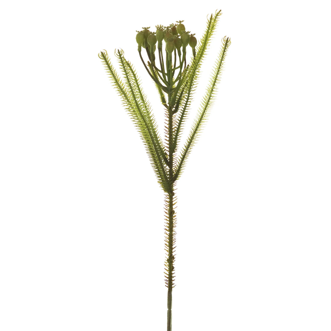 Brunia artificial de 58 cm, color verde